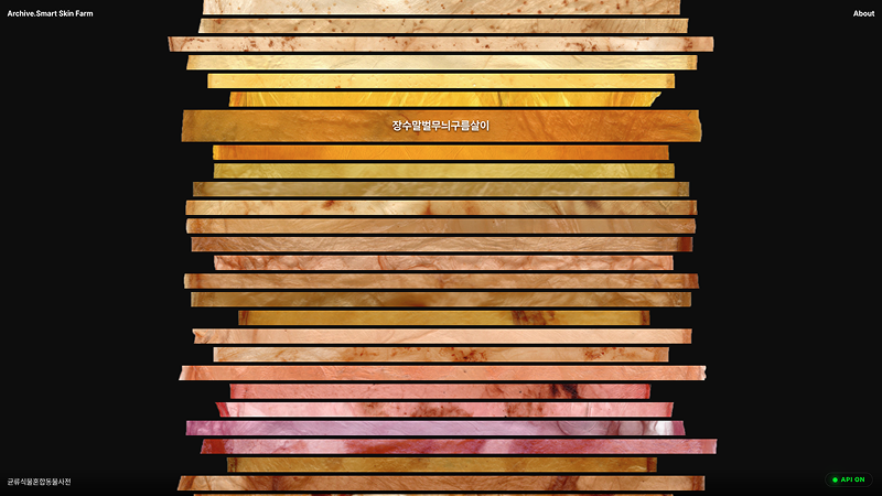 Smart Skin Farm