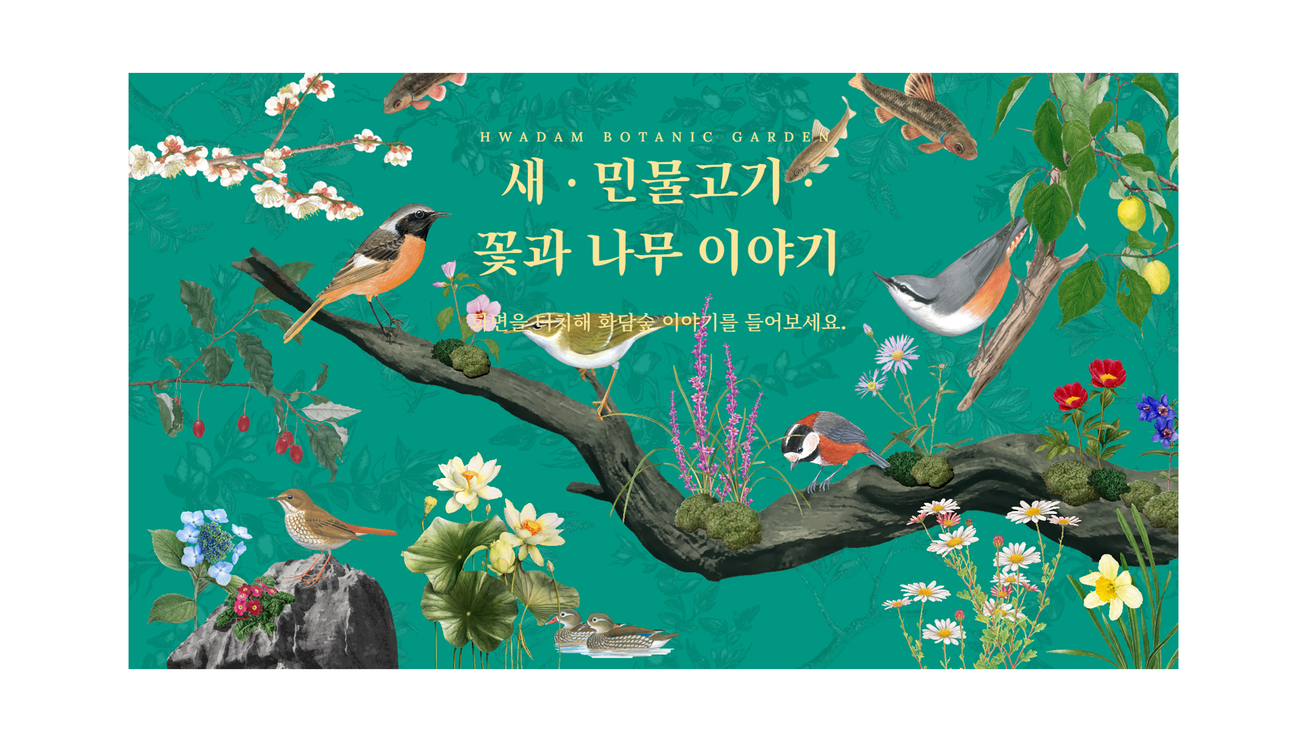 Hwadam Forest Introduction
